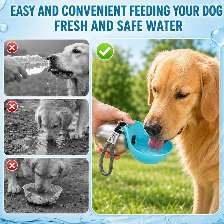 **Botella de Agua Portátil de Acero Inoxidable para Perros y Gatos (285 ml) – Bebedero Antifugas con Cuenco Plegable para Paseos, Viajes y Excursiones**